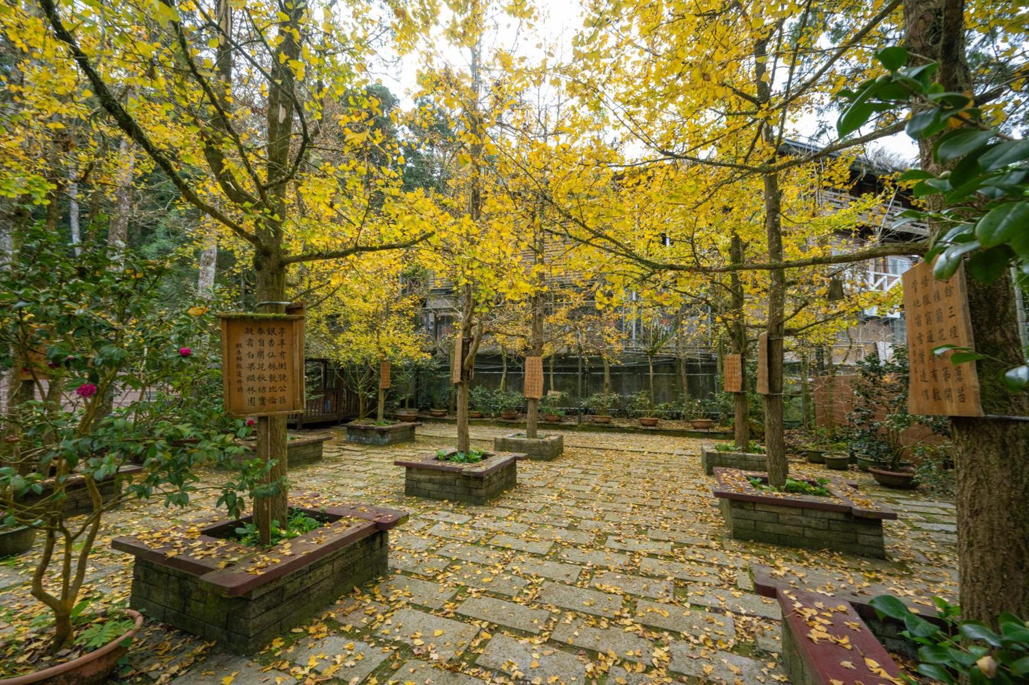 Ginkgo Hotel Luku Kültér fotó